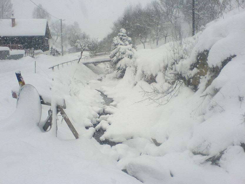 Winter2012ÄŽuro SarvaÅ¡ (2)